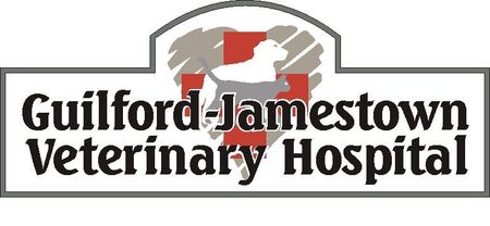 Guilford-Jamestown Veterinary Hospital's Photo