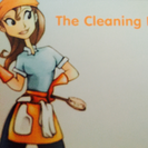 The Cleaning Dolls
