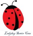 Ladybugs Senior Care Consultants LLC