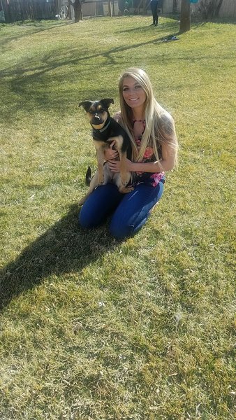 Rachel Kieckhaefer Logo