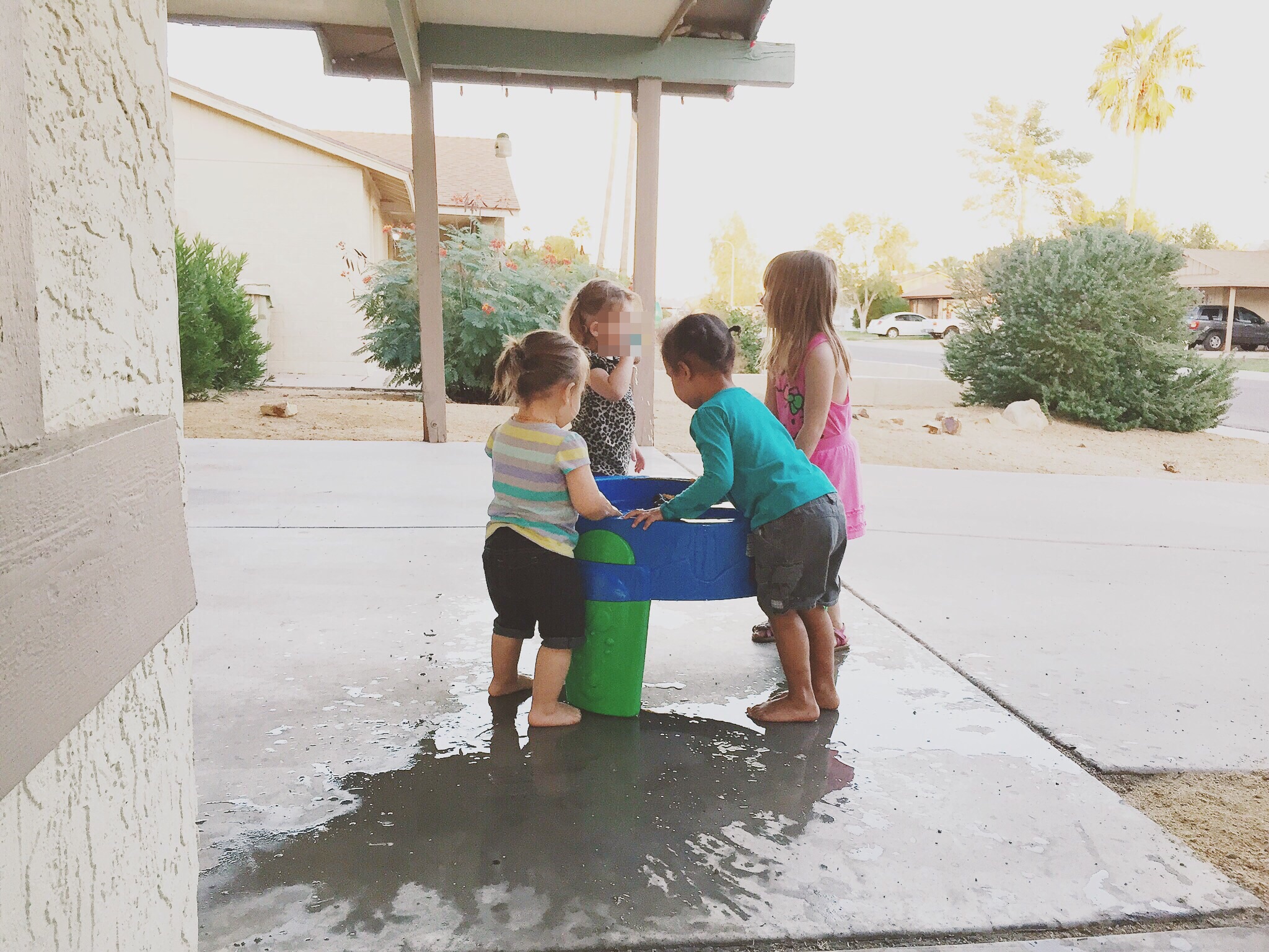 Little Acorns's Photo