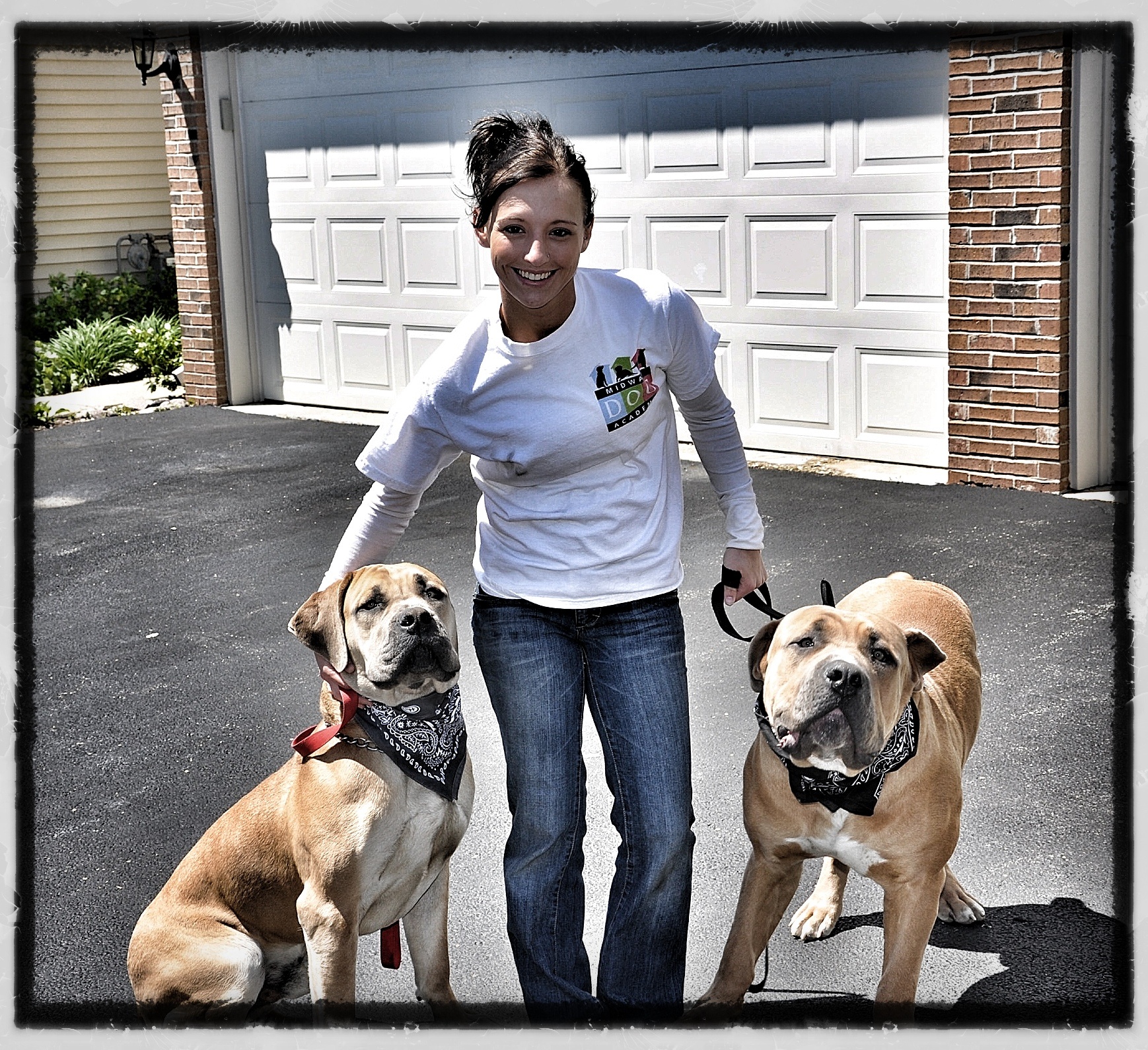 Midway Dog Academy's Photo