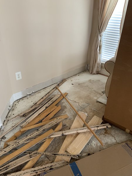 Ace Multi-Cleaning's Photo