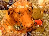 Barks Alot Pet Sitting