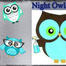 Night Owls LLC