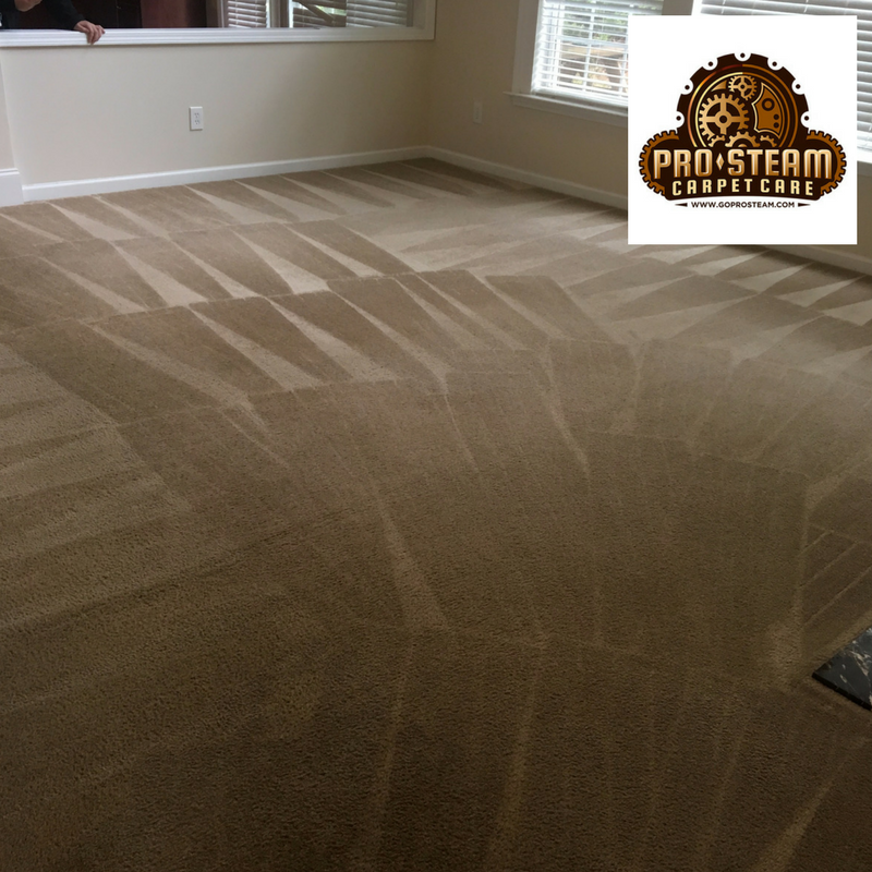 Pro Steam Carpet Care's Photo