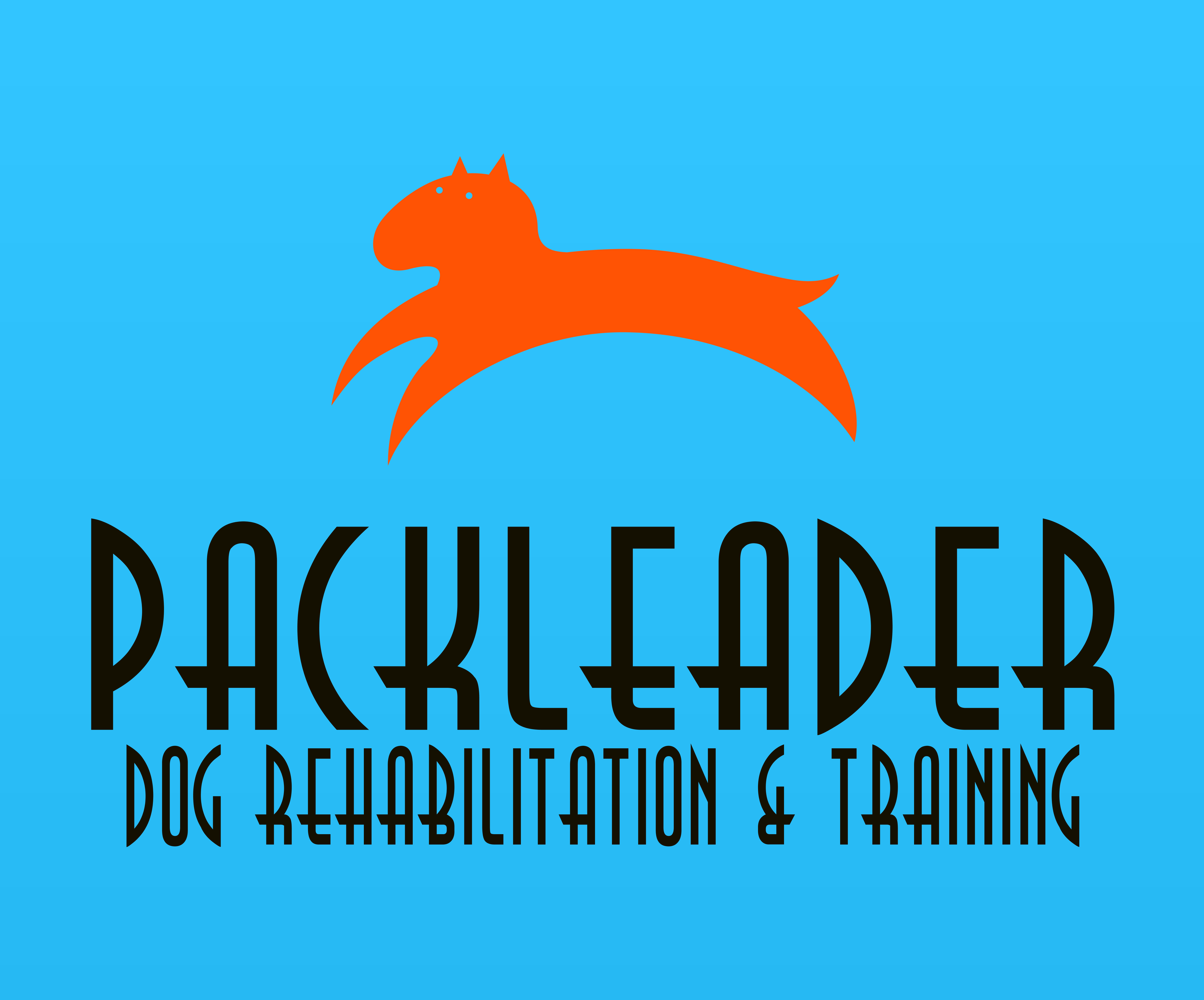 Pack Leader Help: Rehabilitation & Training's Photo