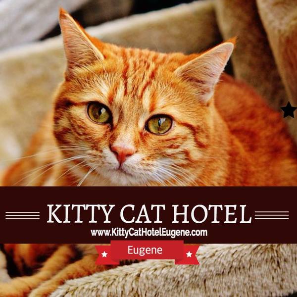 Kitty Cat Hotel Logo