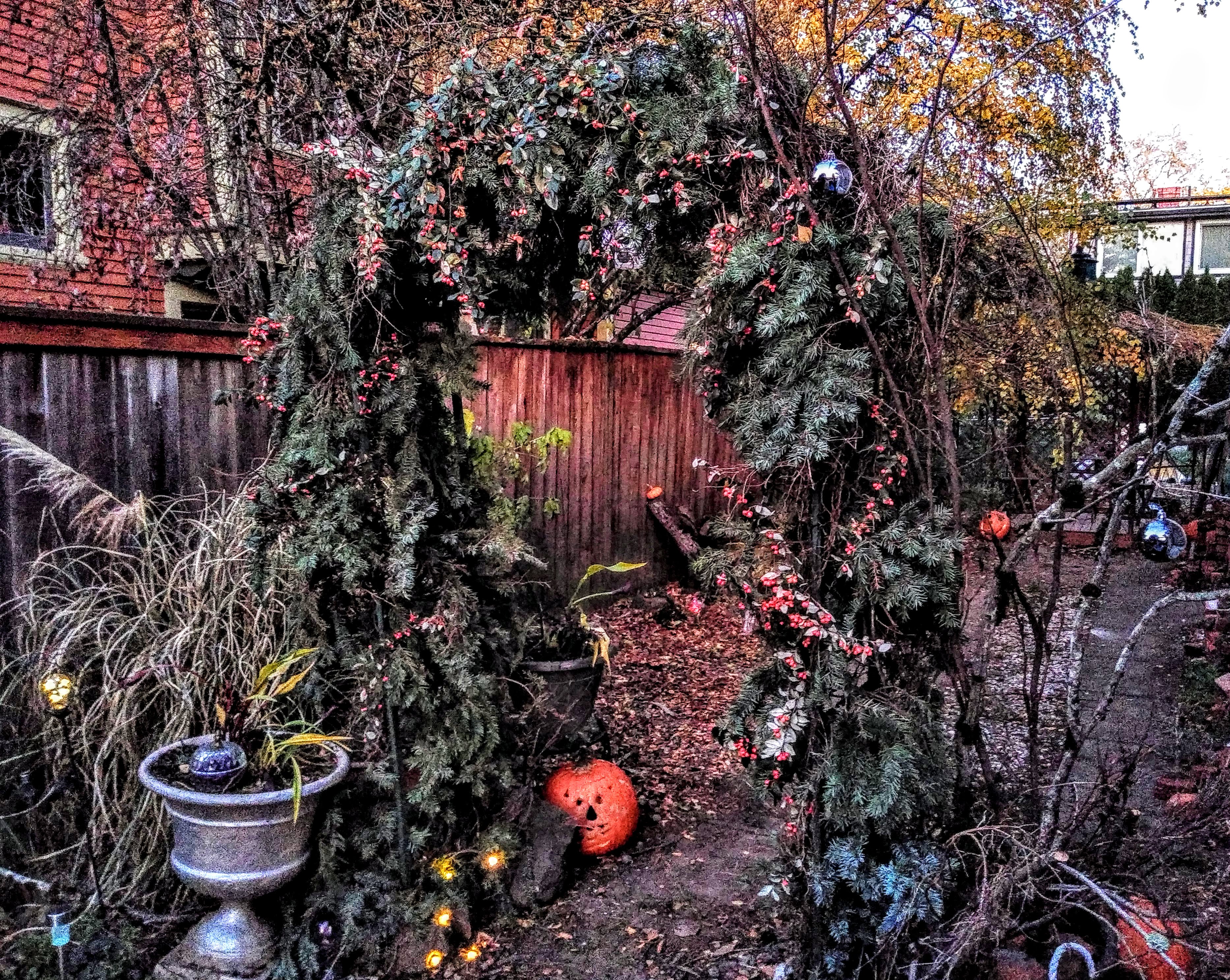 Sanctuary Sanitation's Photo