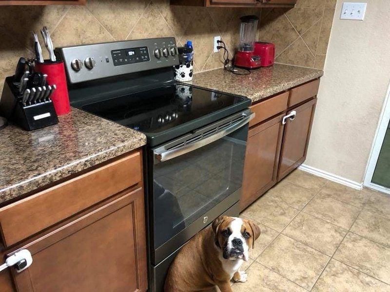 Tiny Touch-ups Cleaning Service Logo