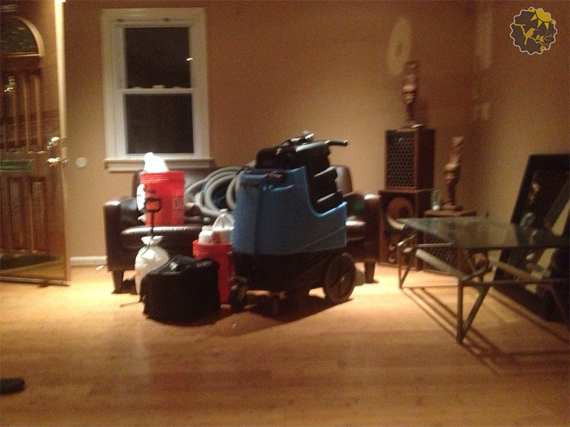 Carpet Cleaning Pasadena's Photo