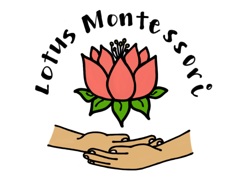 Lotus Montessori Logo