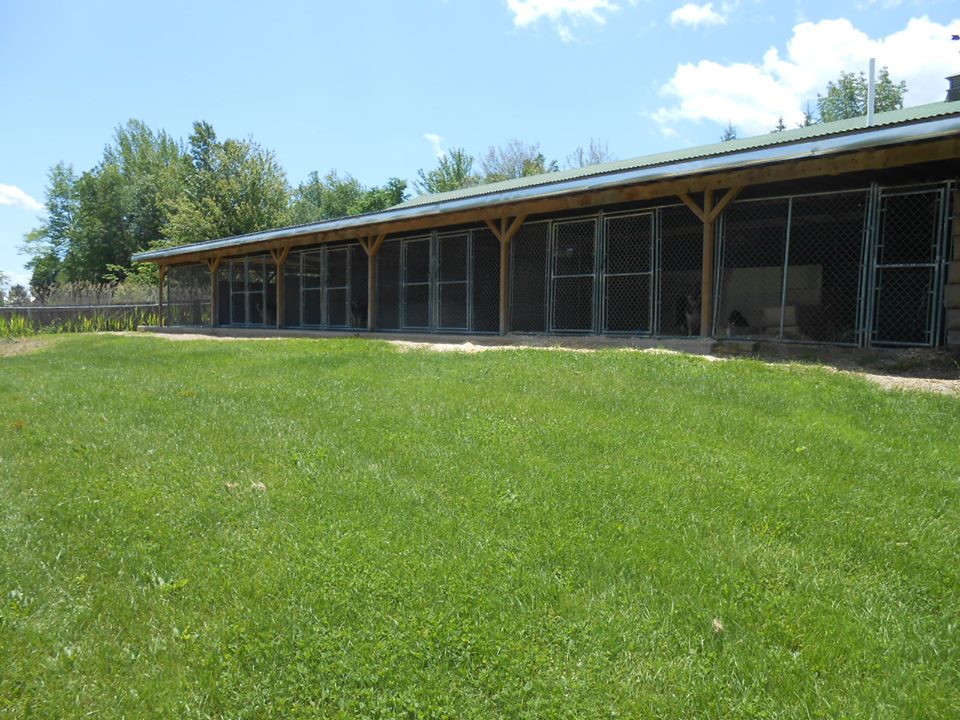 Dog Boarding at Munster Abbey Kennel's Photo