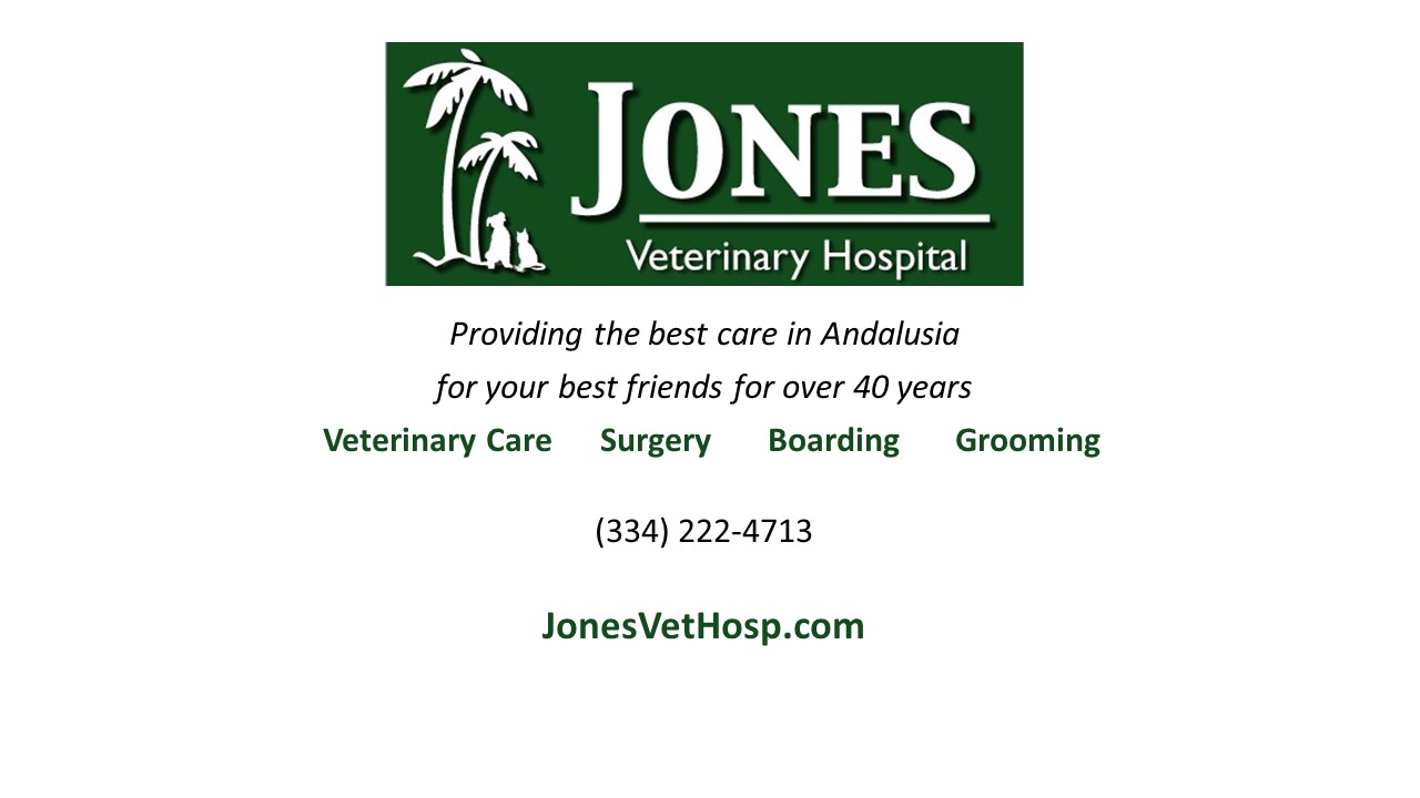 Jones Veterinary Hospital's Photo