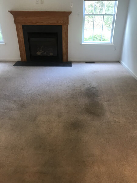 3 Step Carpet Cleaning