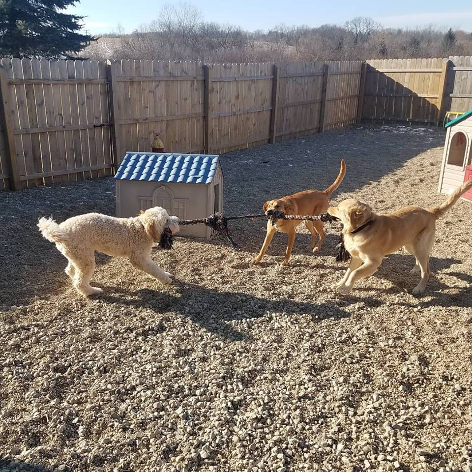 Cedarburg Pet Care LLC's Photo