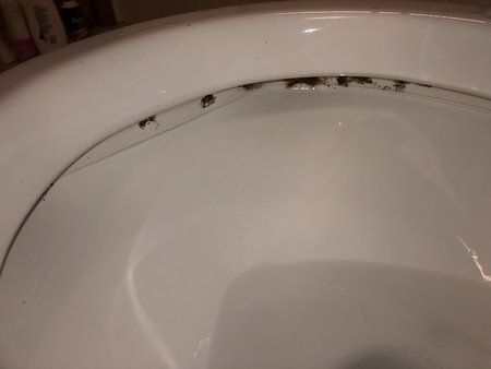 Casa Bella Cleaning Service's Photo