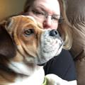 Betterment Pet Care