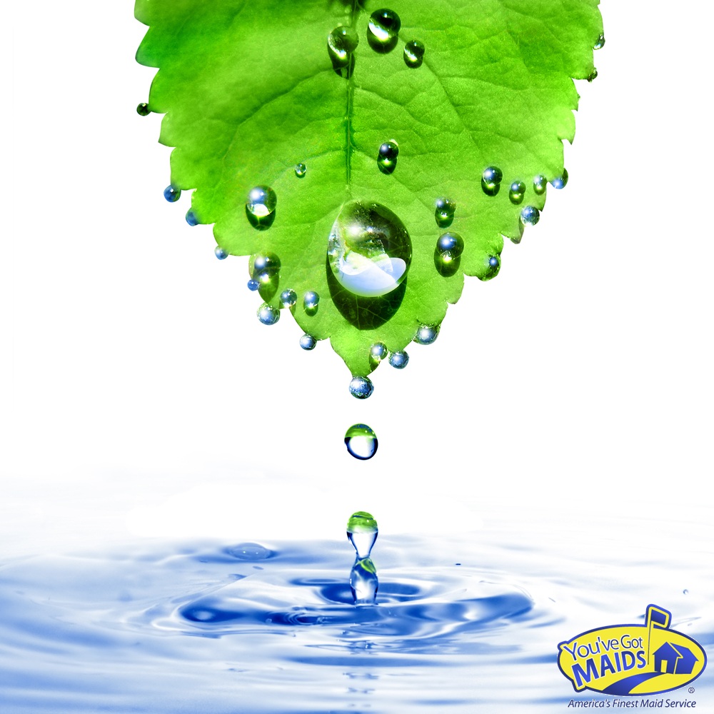 You've Got Maids's Photo