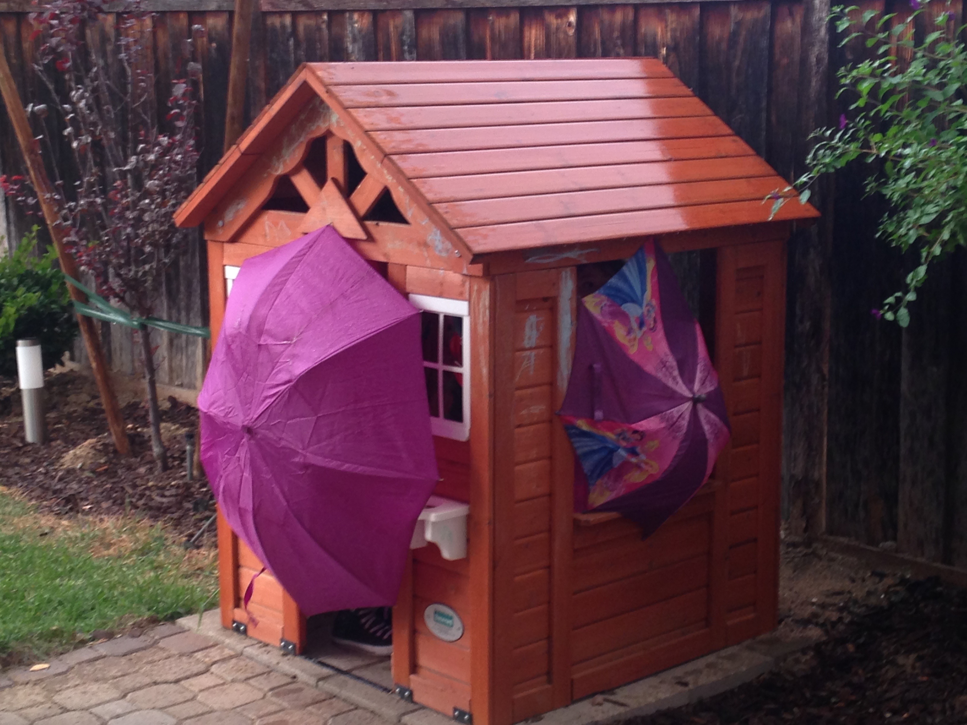 Little Explorers Learn Play & Learn's Photo