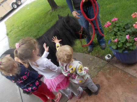 Laura's Learn And Play Nature School