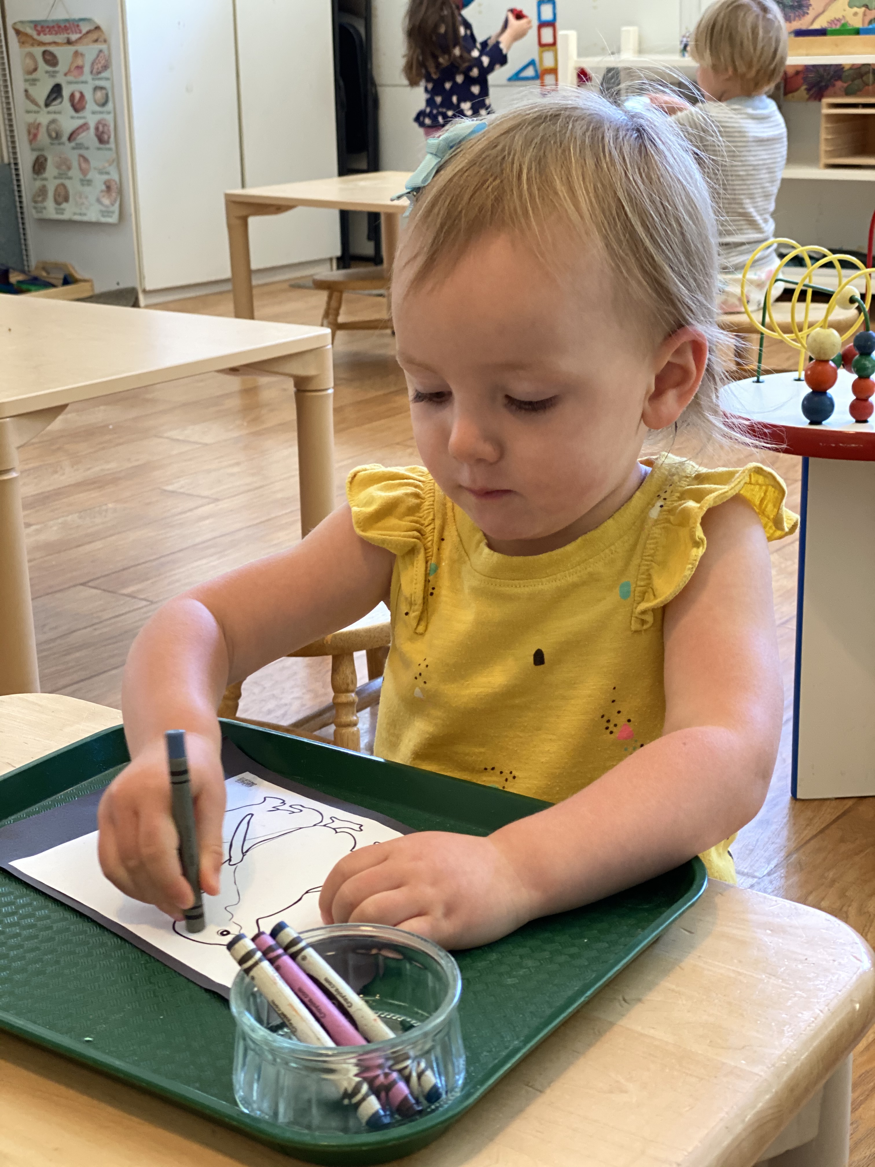 Montessori For Toddlers's Photo