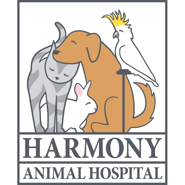 Harmony Animal Hospital's Photo
