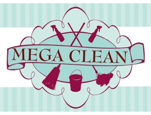 MegaCleanTeam's Photo