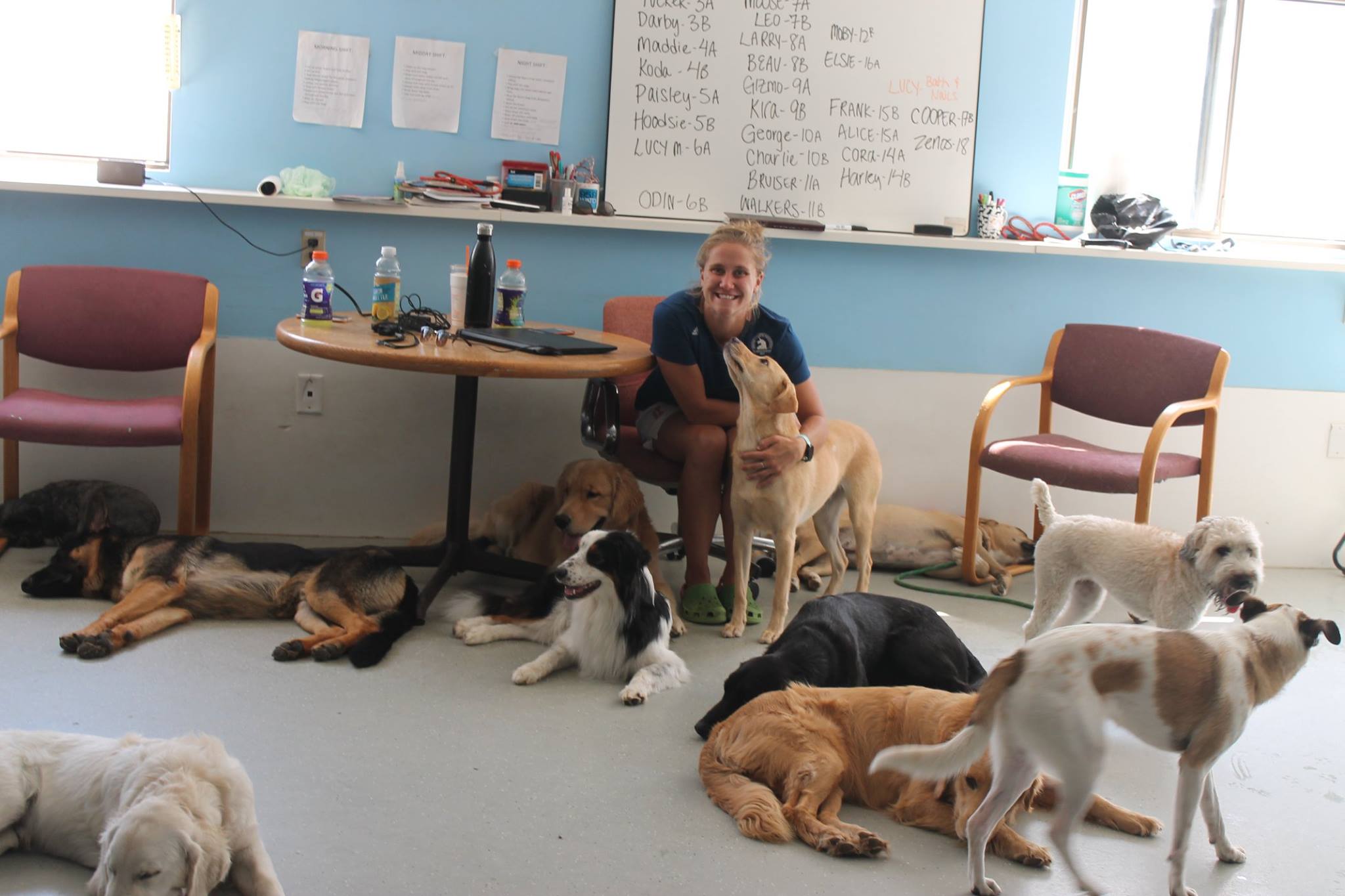 Emmy's Barking Lot's Photo