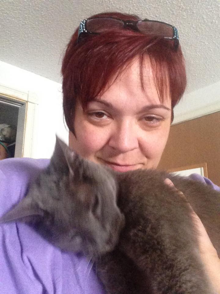 Sit & Stay, In-Home Pet Sitting's Photo