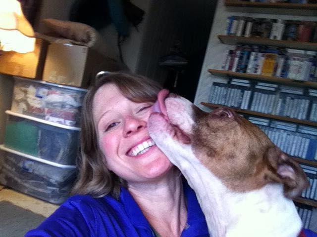 Portland Pet Rehab's Photo