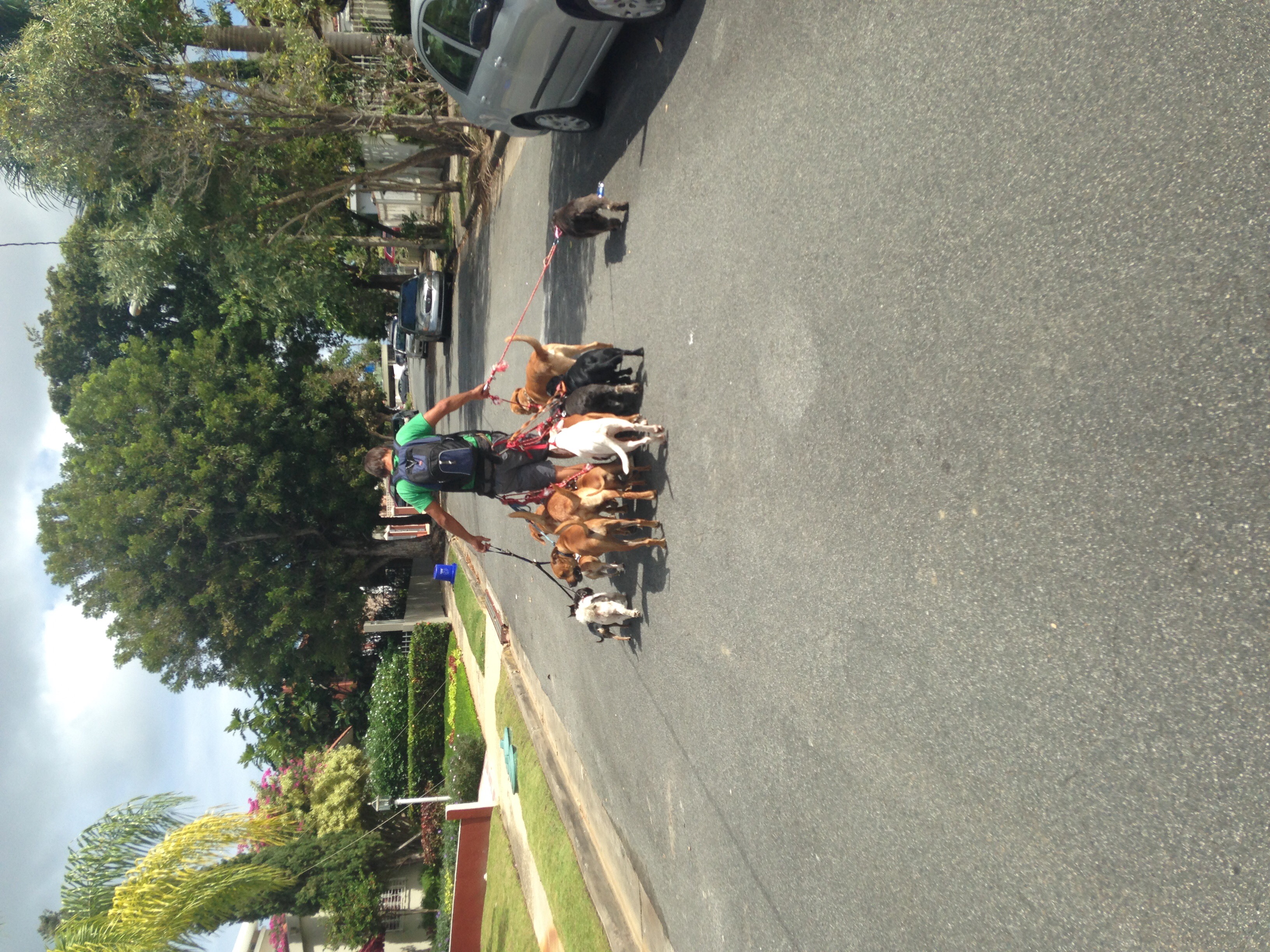 The Rolling Bones PR's Photo