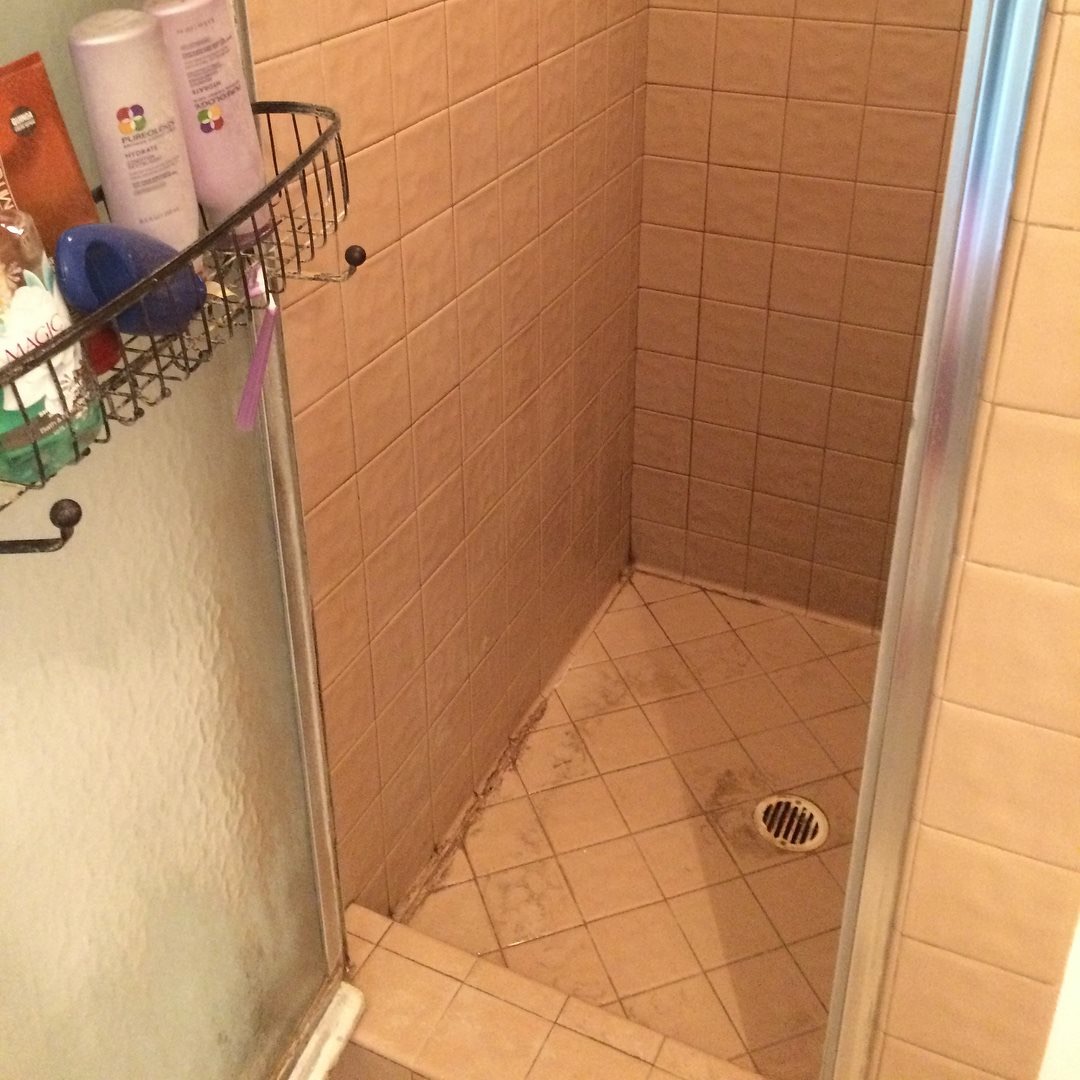 White Glove Cleaning Co MI's Photo