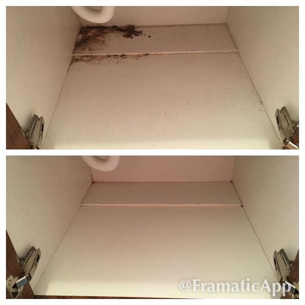 Pristine Clean, LLC's Photo