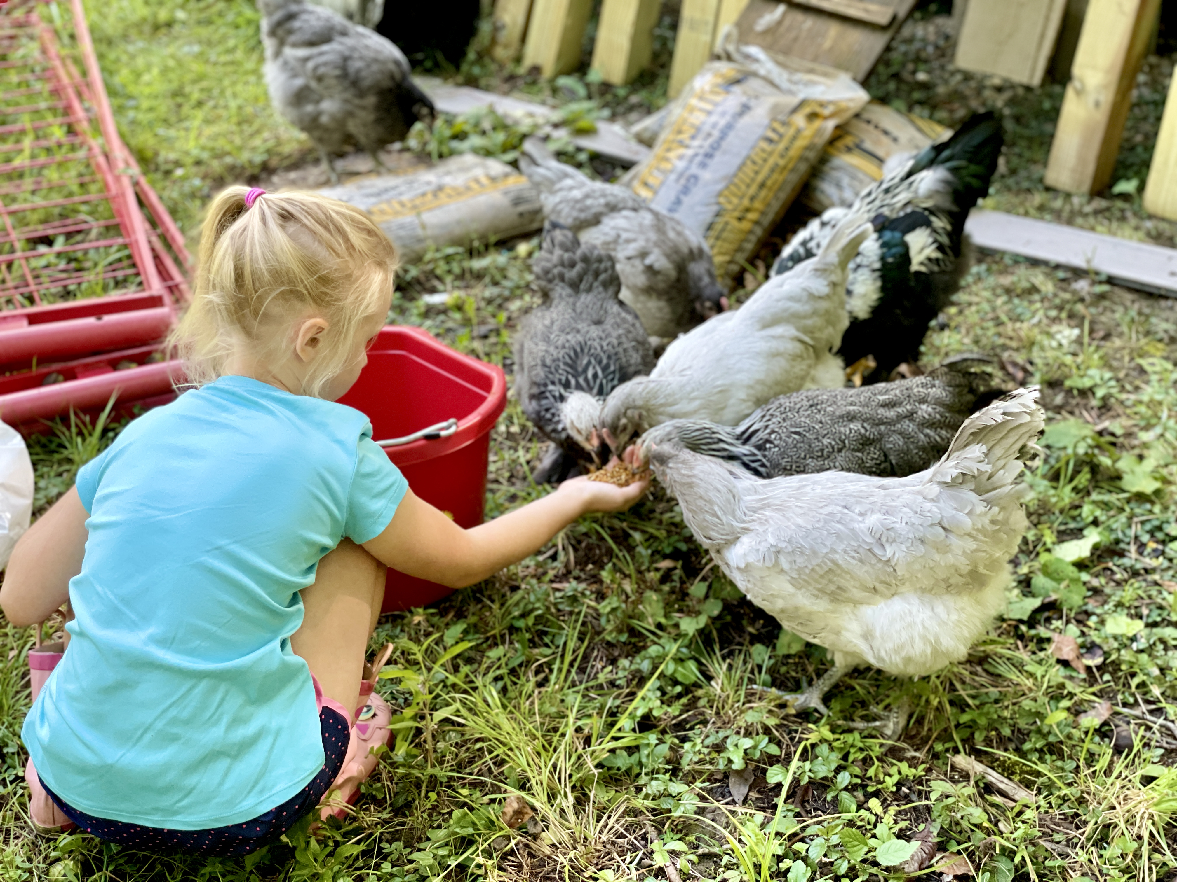 Ohio Farm and Forest Daycare's Photo