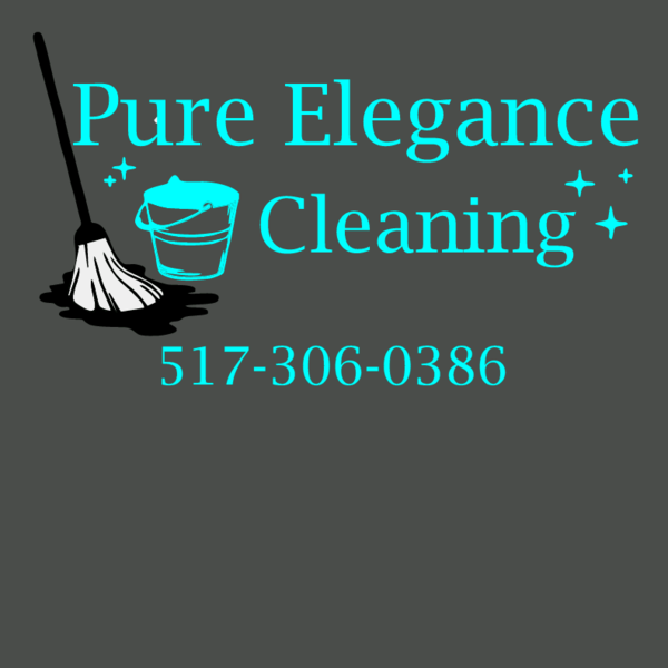 Pure Elegance Cleaning Logo