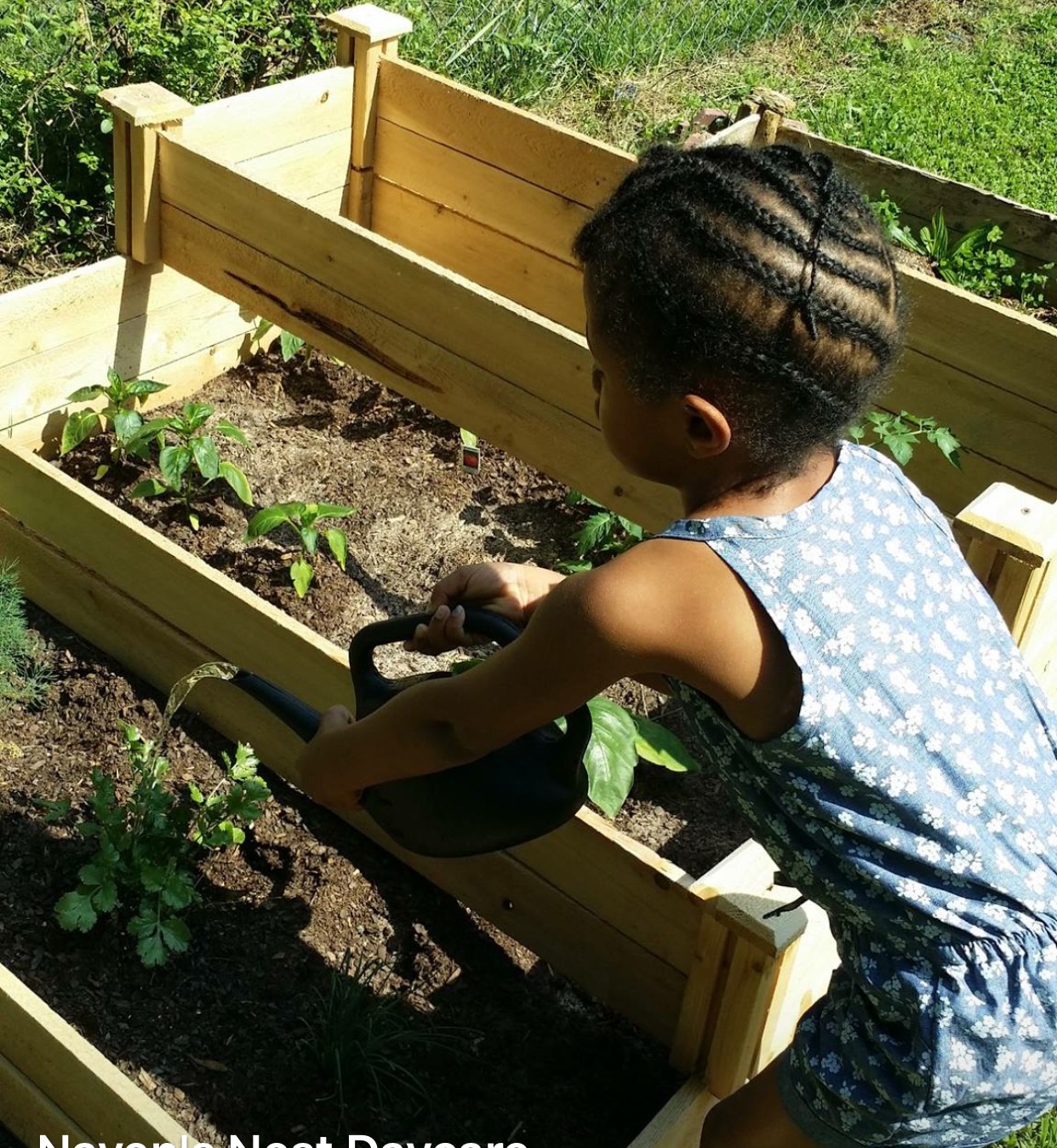 Naven's Nest's Photo