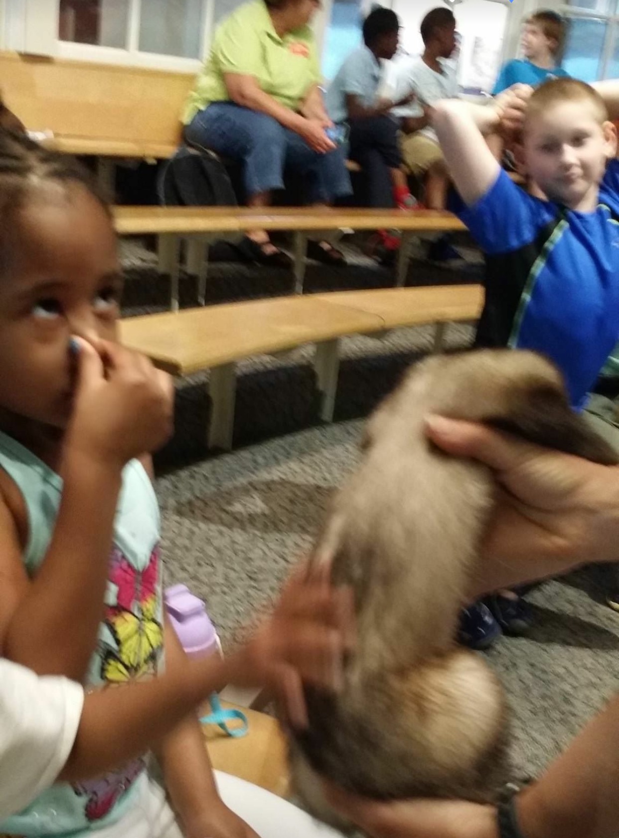 Naven's Nest's Photo