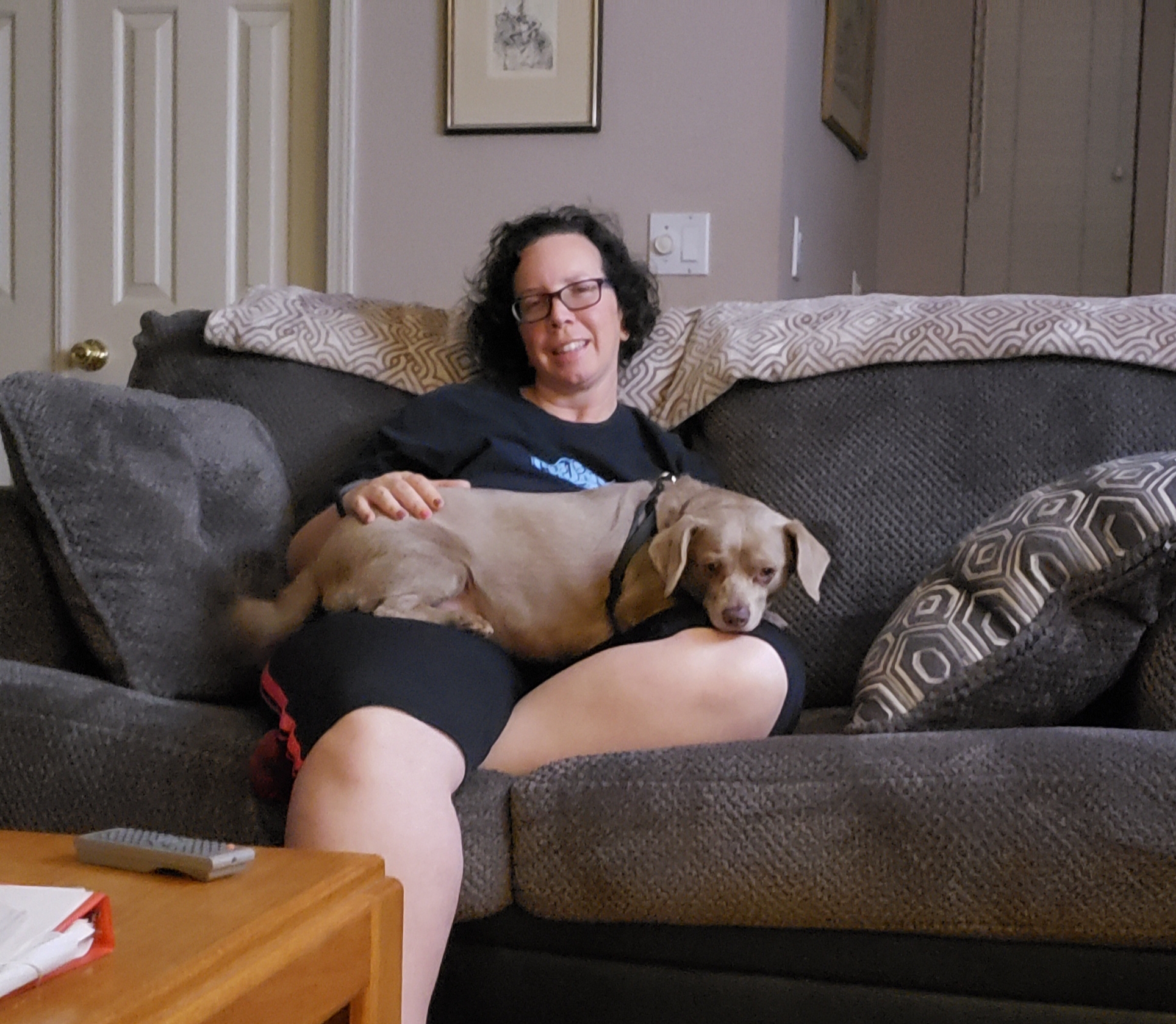 Henke Pet Sitting's Photo