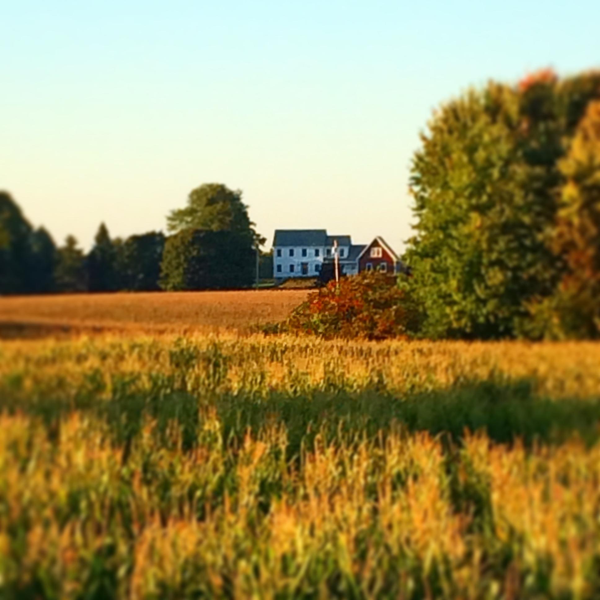 Montessori Children's House Bville's Photo