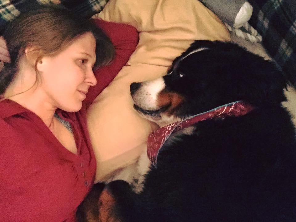 Portland Pet Rehab's Photo