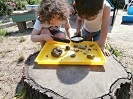 Pumpkin Patch Preschool, FULL DAY !