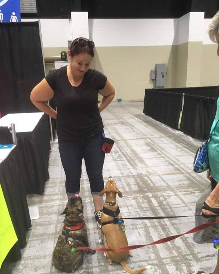 Jaime Doolittle Dog Training's Photo