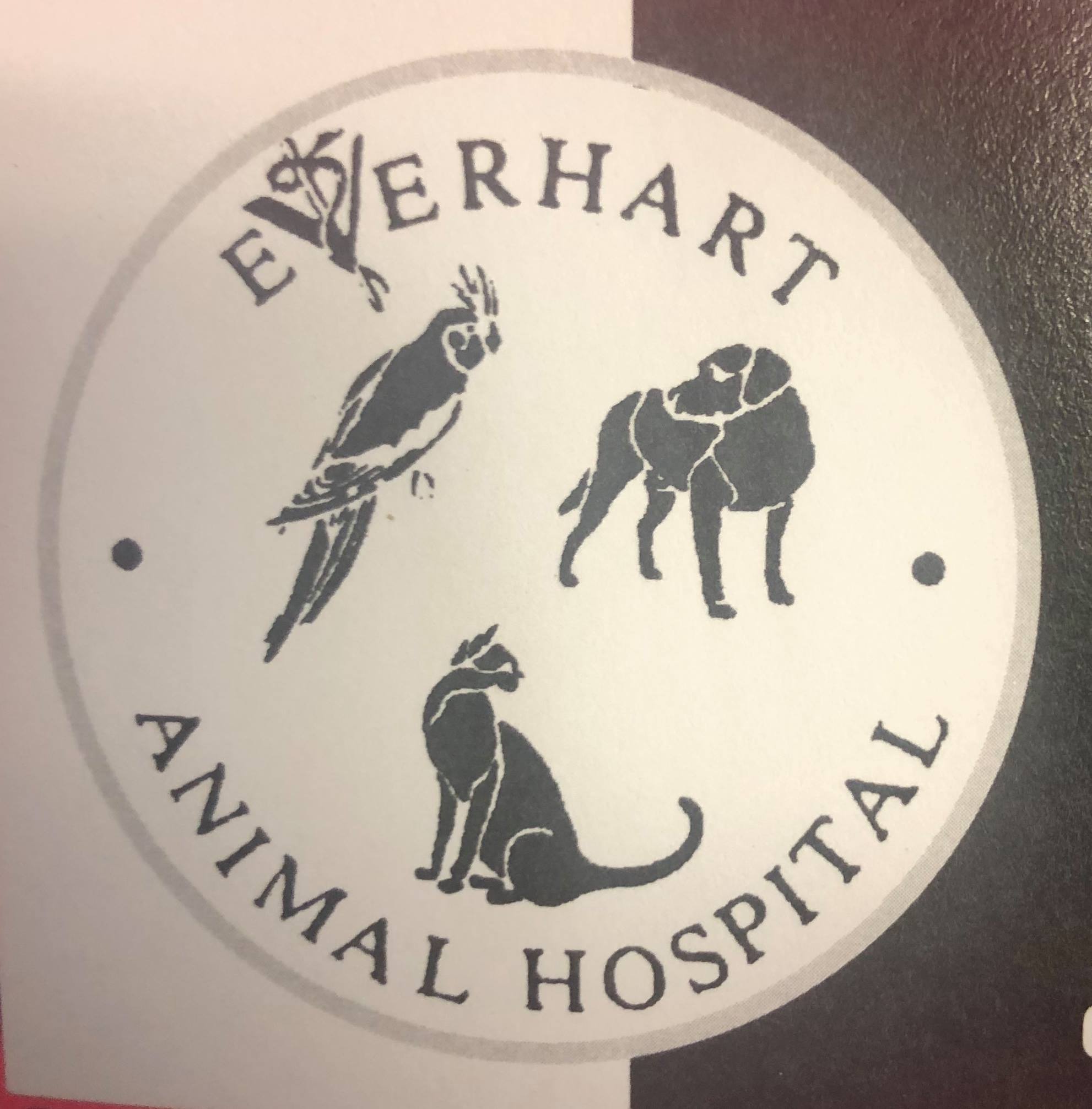 Everhart Animal Hospital's Photo