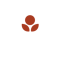 Piof Home Healthcare Services llc