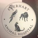 Everhart Animal Hospital
