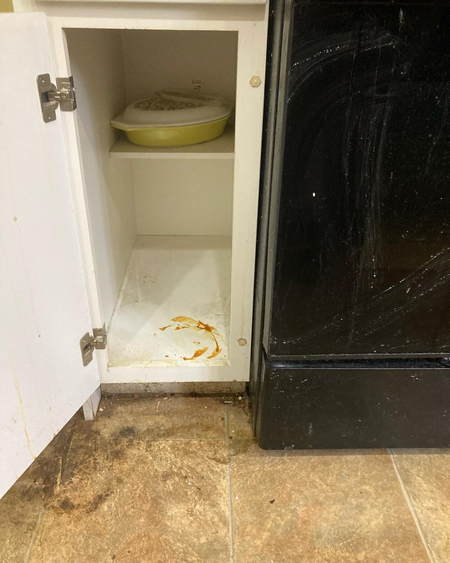EL N Breez Housekeeping LLC's Photo