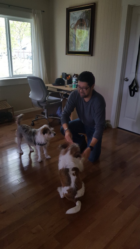 The Dog Sensei's Photo