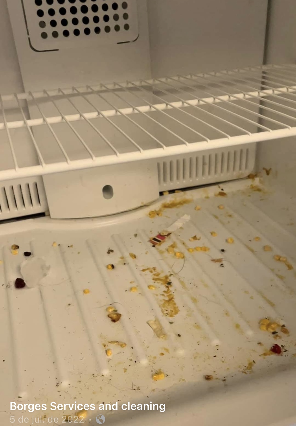 Borges Services & Cleaning's Photo