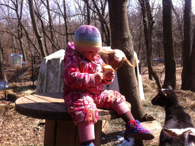 Violet Grove Children's Garden's Photo